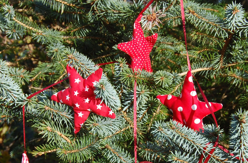 Weihnachtssterne nähen - im Tannenbaum