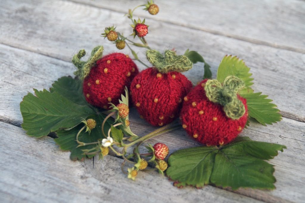 caprice birker gestrickte Erdbeeren auf sockshype
