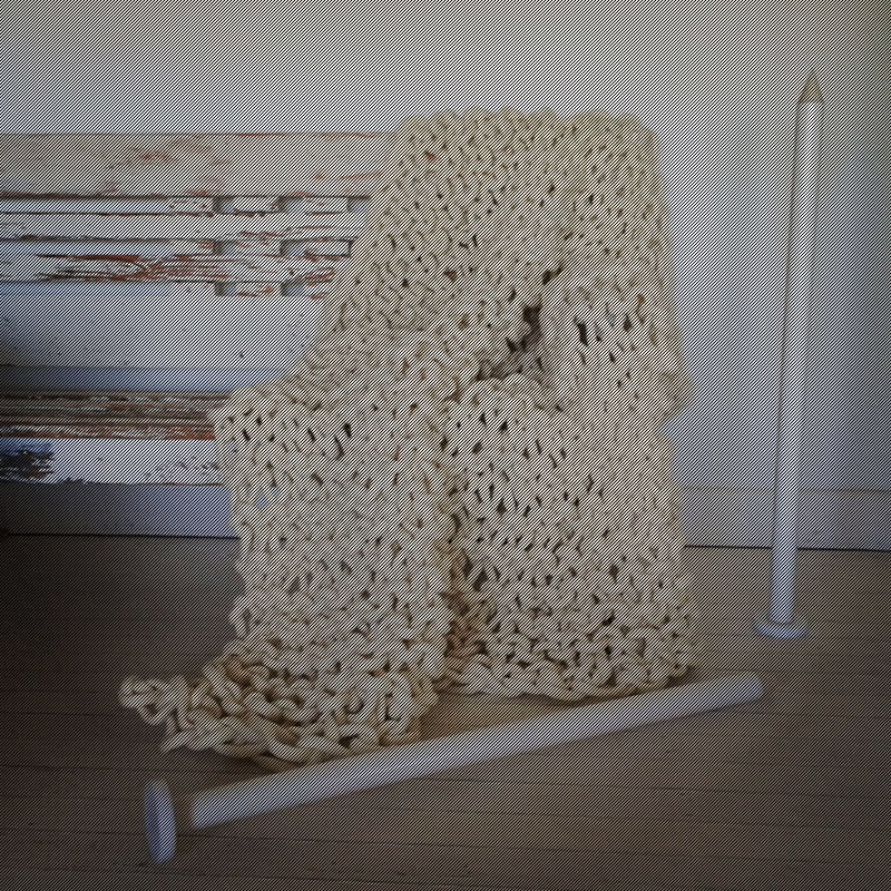 Little Dandelion: Extreme Knitting mit der K1S1