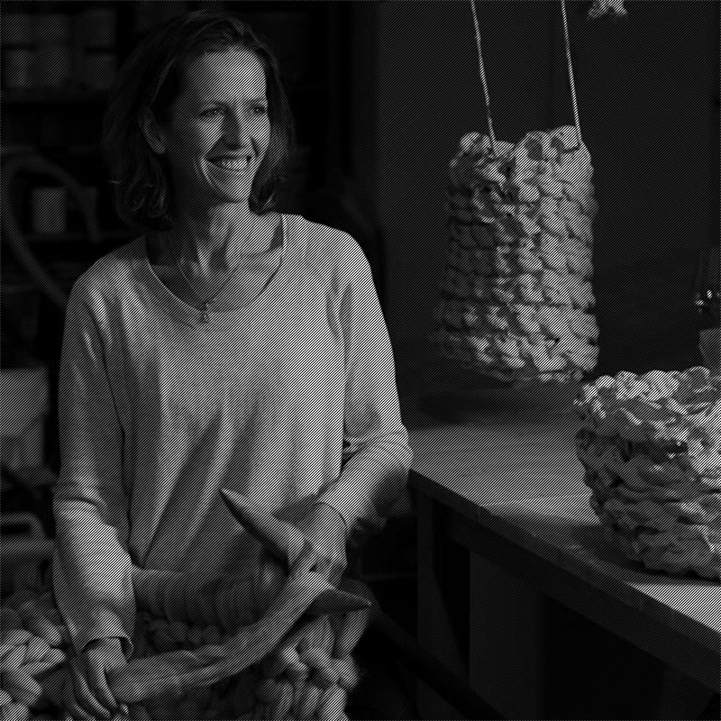Jaqueline Fink von Little Dandelion