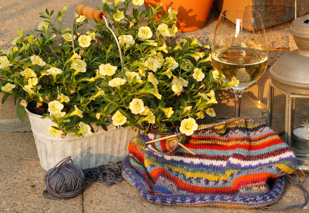 Stricken im Sommer - Abendsonne