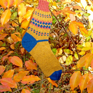 FinnSocks passen farblich wunderbar in den Herbst