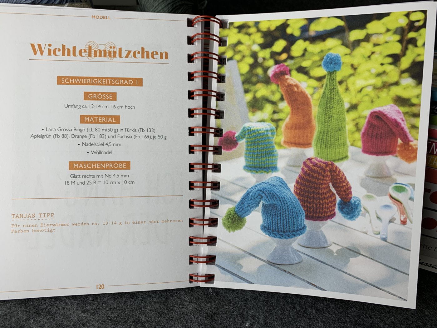 Mein ARD Buffet Strickbuch to go Wichtelmützchen