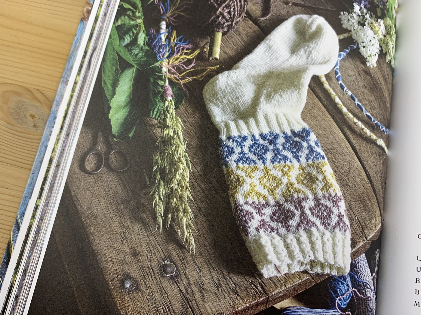 Buch Schwedische Socken stricken