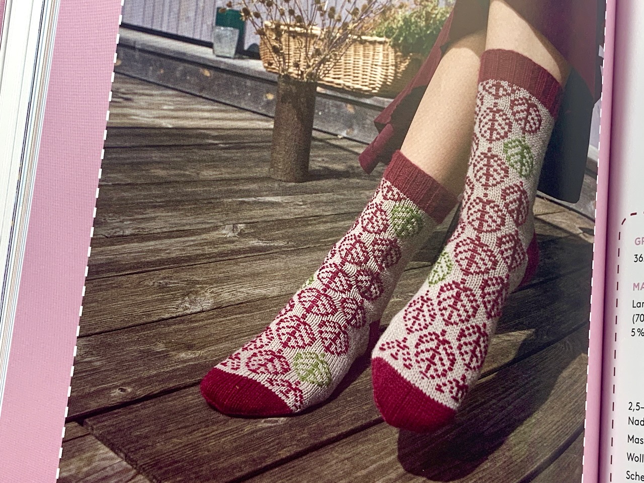 Reelika - aus dem Buch Roosimine Socken stricken