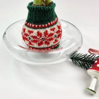 Hülle für Amaryllis in Wachs Strickanleitung