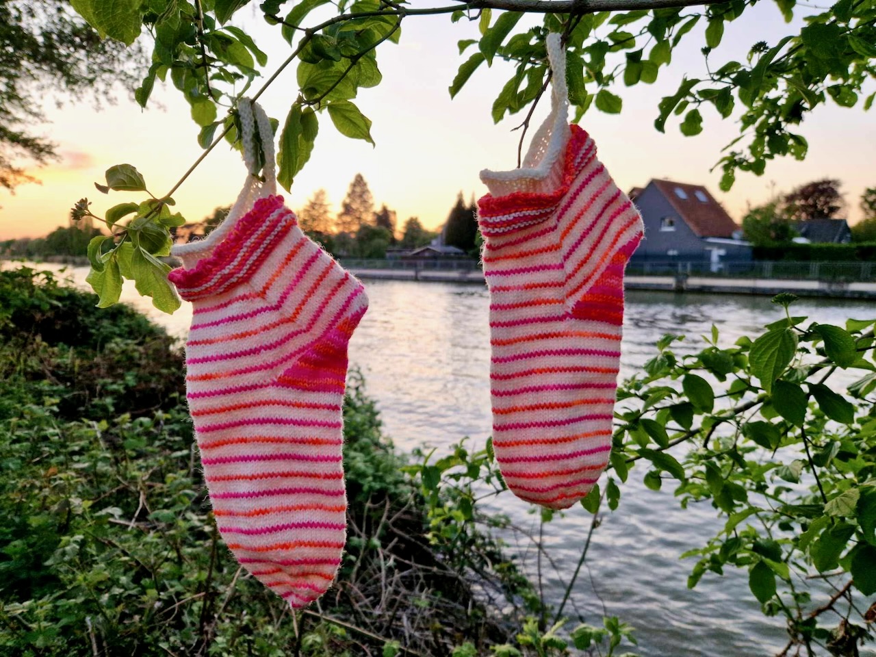 MaböSocks Iris